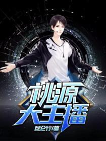 桃源2.0