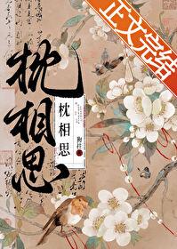枕相思无弹窗 大文学