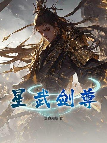 星武武术怎么样