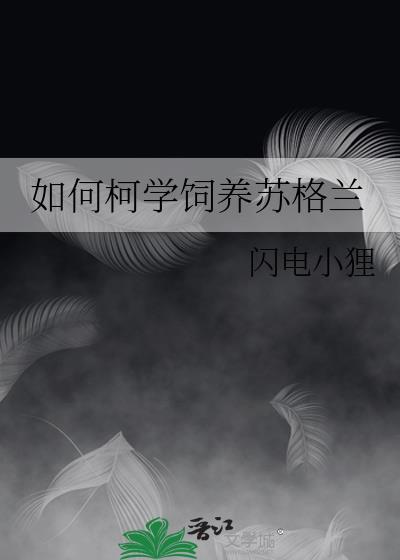 养苏格兰牧羊犬