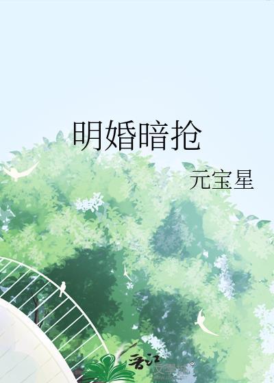 明婚暗抢沈宴免费阅读