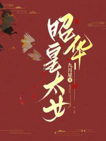 昭华公主历史