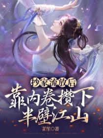 抄家流放后靠内卷攒下半壁江山TXT