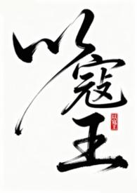 以寇王txt