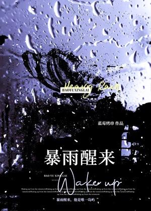 暴雨醒来番外txt