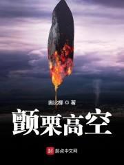颤栗高空TXT百度
