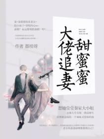 大佬追妻大佬甜妻