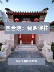我是傻柱
