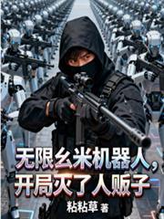 无限击飞机器人