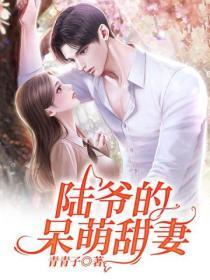 陆爷的呆萌甜妻 第190章