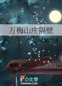 万梅山庄怎么一下不见了