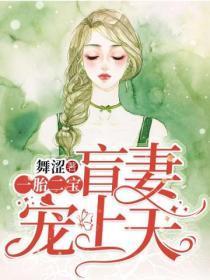 一胎二宝萌妻不可欺