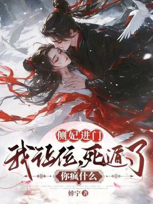 侧妃进门我让位死遁了你疯什么 婞宁