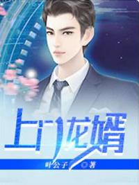 上门龙婿叶辰免费全文