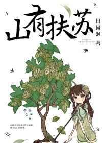 三檐四簇龙凤翔
