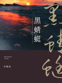 黑蜻蜓充电宝