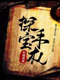 探宝有什么诀窍吗