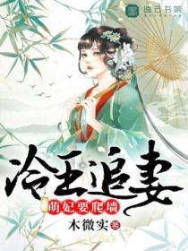 冷王追妻萌妃要爬墙 木微实