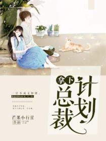 攻略总裁计划