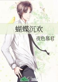 蝴蝶沉幕时解析