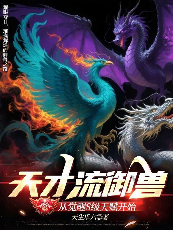 天才流系统流