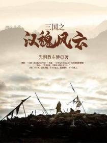 三国之汉王
