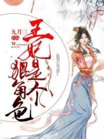王妃是个男的