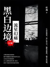 黑白边境流星