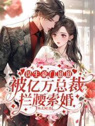 误入豪门总裁请放手免费阅读