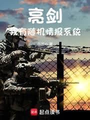 电视剧亮剑的军事顾问