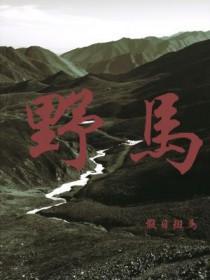 野马电池股吧