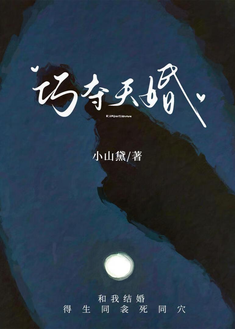 巧夺天婚by小山黛讲的什么
