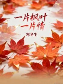 一片枫叶一片情原唱