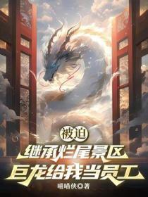 巨龙老板