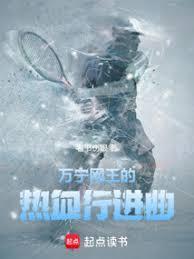 万宁网王的热血行进曲篱笆