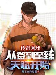 网球传奇为什么不能玩