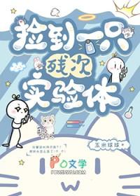 捡到一只受