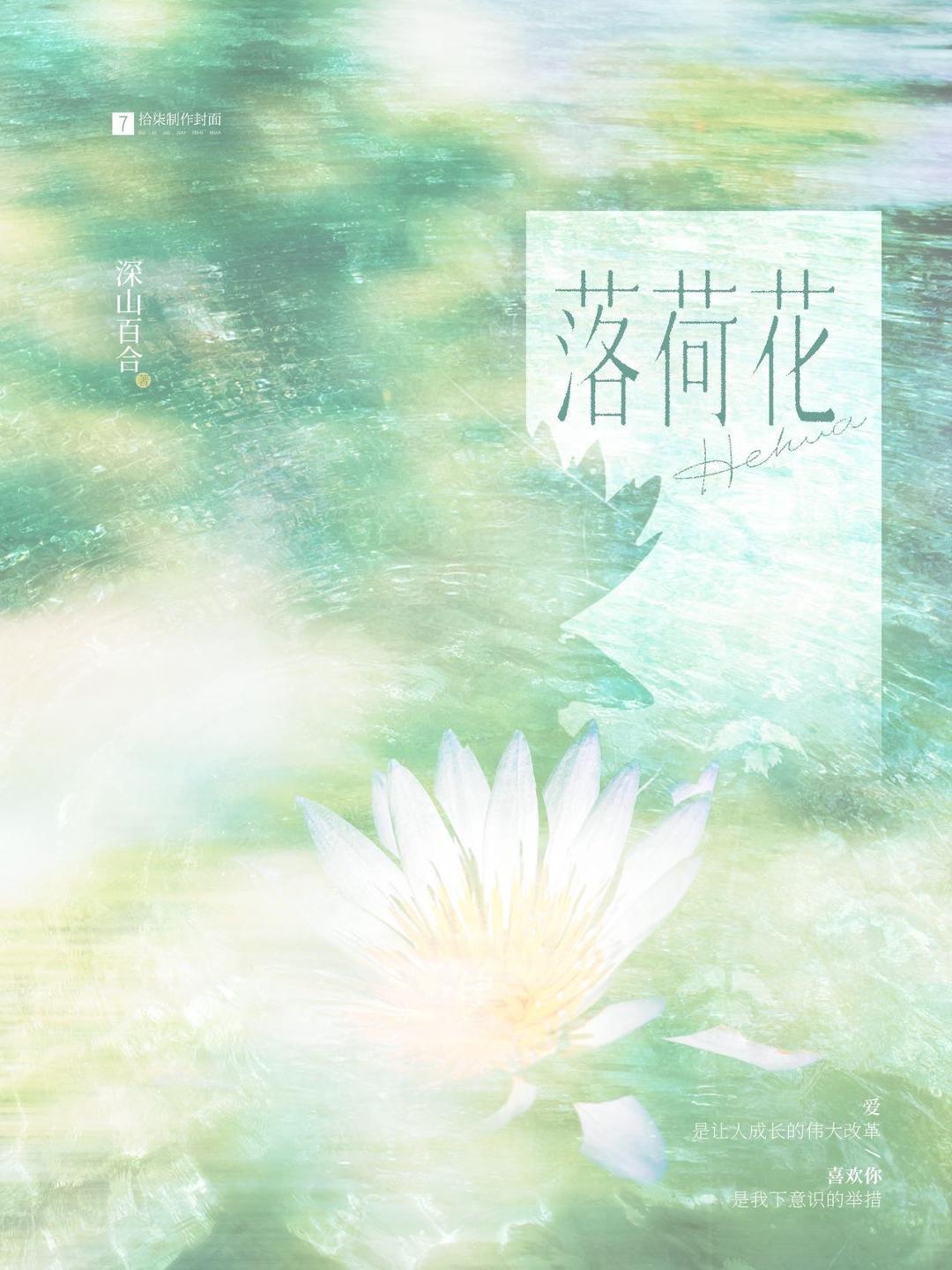 落荷花玉兰视频