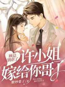 许小姐嫁给你哥了百度