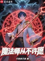 从不许愿是什么电视