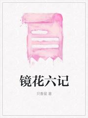 镜花主要内容