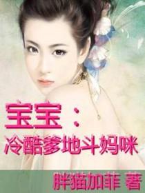 冷酷爹地娶一赠二免费阅读