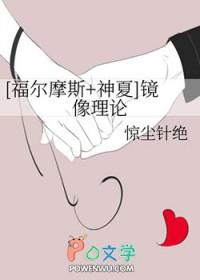电影 镜像理论