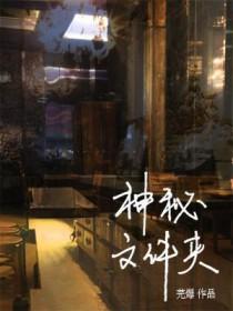神秘文件夹作者芜爆