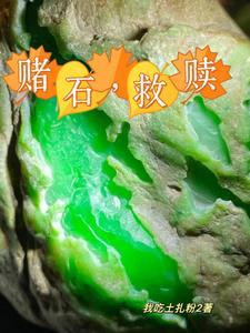 给毛料开窗没有人比我更专业乔离