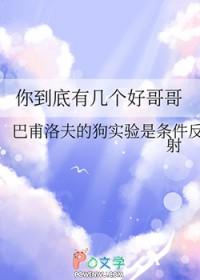 笨蛋狐狸故事