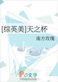 天之杯同人
