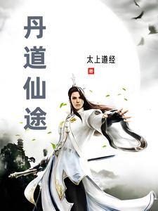丹道仙途百度