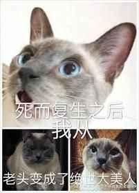 死而复生之后我从老头变成了绝世大美人结局是什么