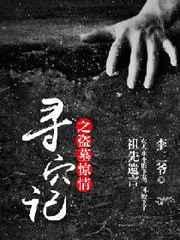 寻墓盗术电视剧